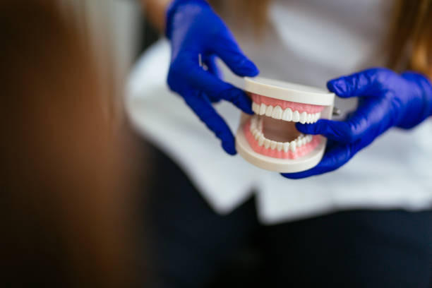Best Dental Fillings (Composite and Amalgam)  in Pemberville, OH